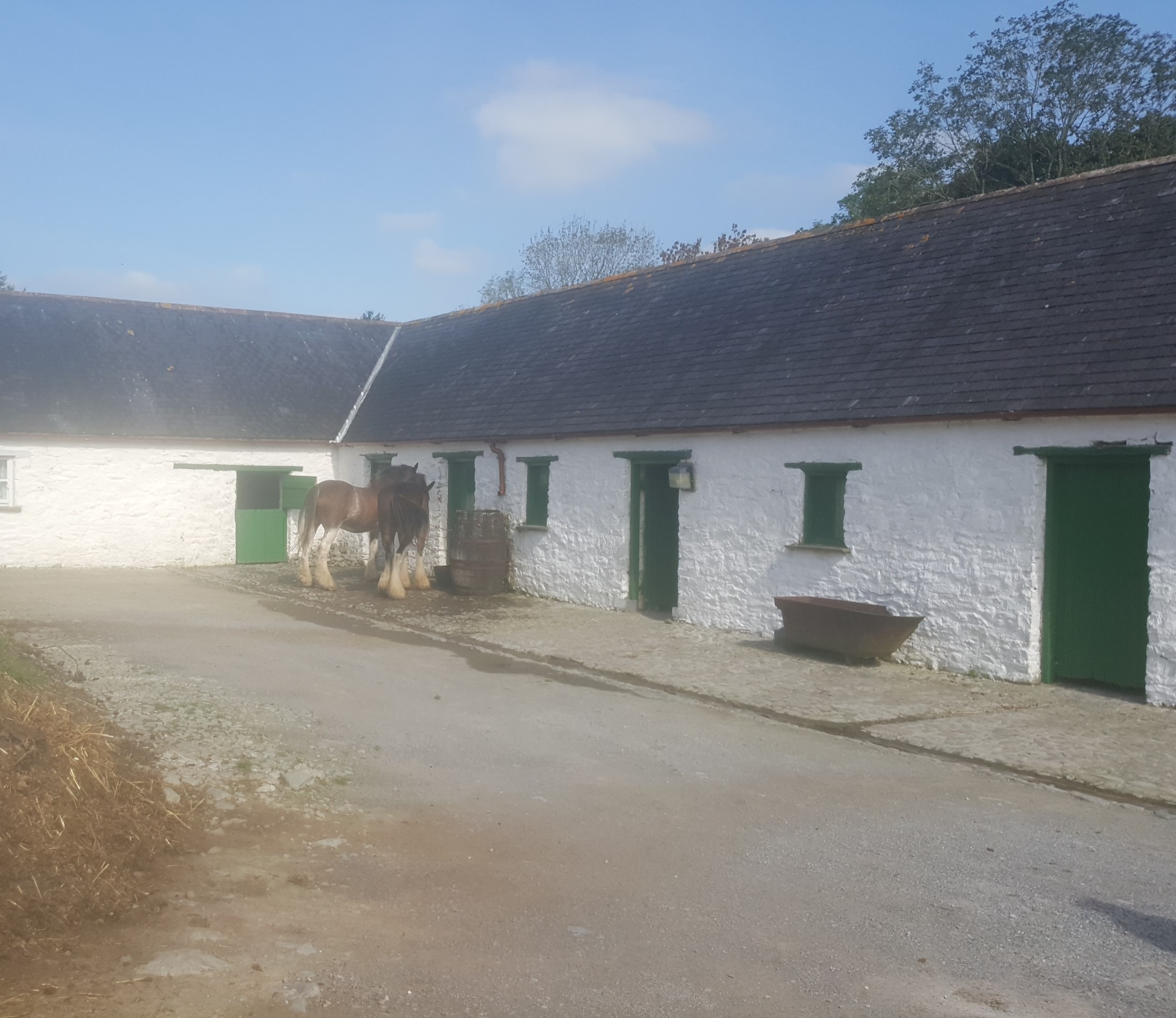 Kerry Social Farming